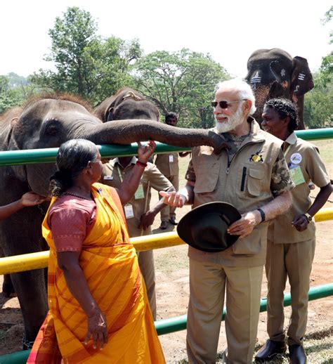 Pm Modi Meets The Elephant Whisperers Couple The Daily Guardian