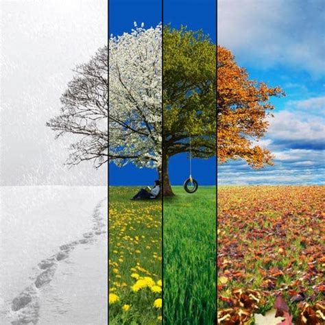 Changing Seasons Debbie Loves Photos And Art Pinterest