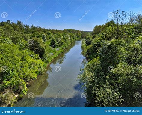 Clear River With Lush Green Trees On River Bank Stock Image Image Of