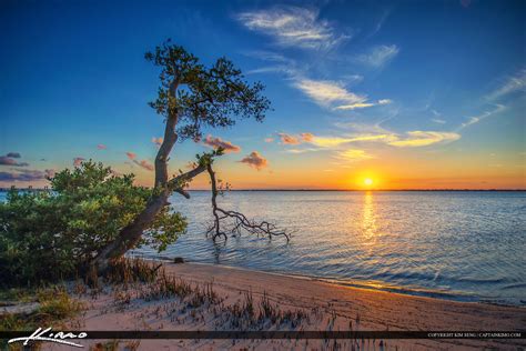 Stuart Florida Sunset Mangrove At Waterway Hdr Photography By Captain