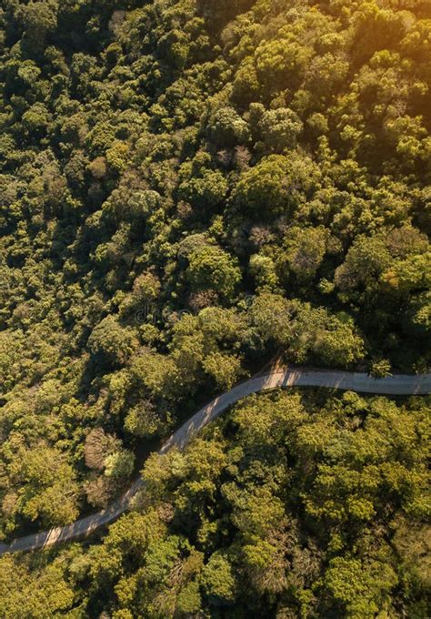 Top View Of Countryside Road Passing Through The Green Forrest And