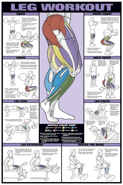 Your back and shoulder muscles work so closely together that it makes sense to work them out together, too. Visual Guide For The Right Exercise For Each Of Your ...