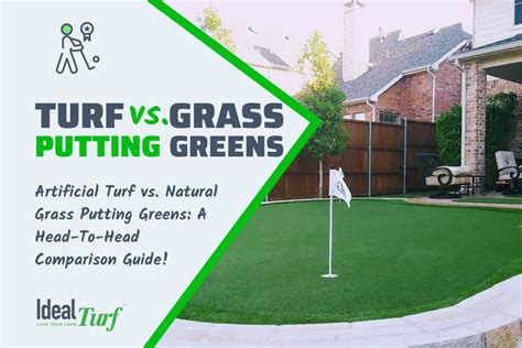 Artificial Turf Vs Real Grass Putting Greens Buyers Guide