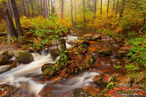 Autumn Beauty Ilsetal Nationalpark Harz Dave Derbis Photography
