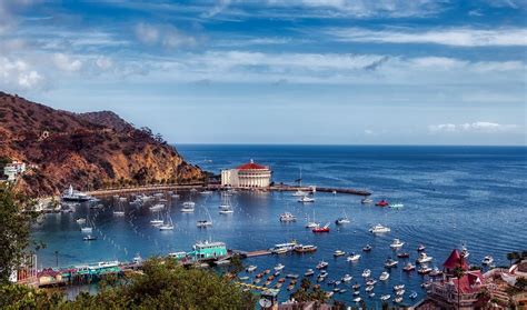 What You Need To Know To Plan A Day Trip To Catalina Island By Dr