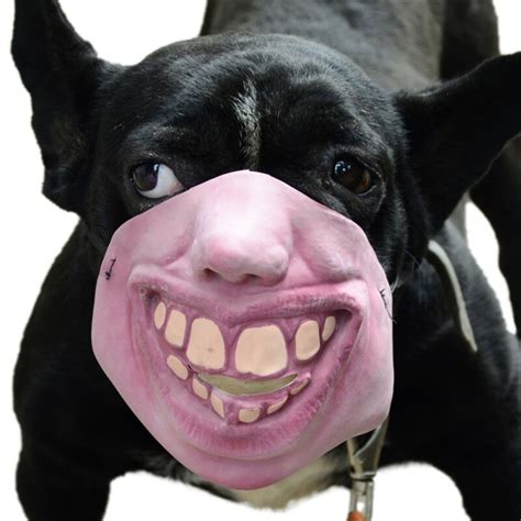 Halloween Dog Funny Mouth Mask Humor Pet Masks Entertainment Bull Dog