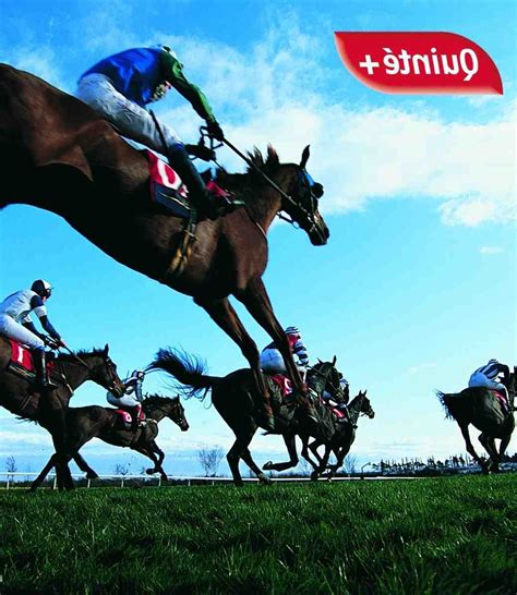 Voici nos mots d'ordre : Quinté + du dimanche 7 mars 2021 à Auteuil: les prévisions ...