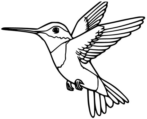Instant Download Hand Drawn Coloring Pages Black And White Hummingbird