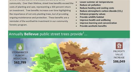 Village Of Bellevue The Many Benefits Of Street Trees To The Village