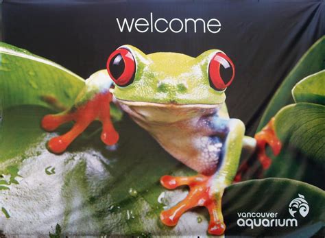 Frogville Northwest Frogs Aquarium