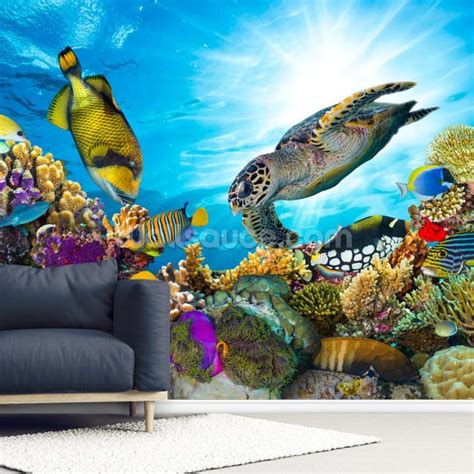 Coral Reef Diversity Wallpaper Mural Wallsauce Au