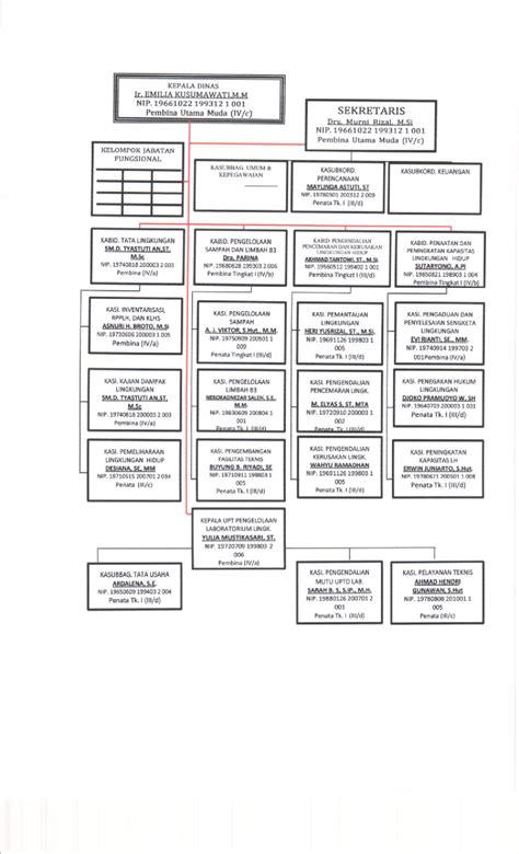 Struktur Organisasi DINAS LINGKUNGAN HIDUP PROVINSI LAMPUNG