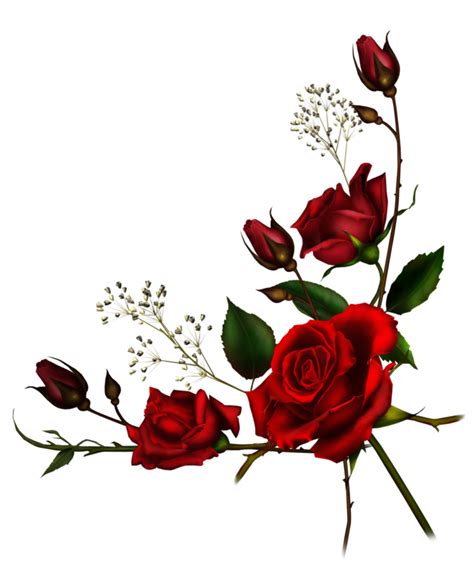 Rose Tumblr Red Flowers Rosesfreetoedit