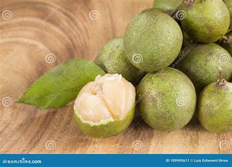 Delicious Fruit Mamon Melicoccus Bijugatus Stock Image Image Of