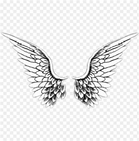 Golden Angel Wings Roblox