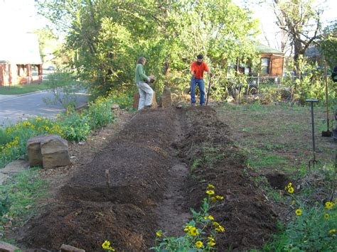 Bed Preparation And Planting