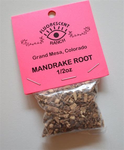 12 Ounce Of Mandrake Root Magick And Crafts Etsy Magick Crafts