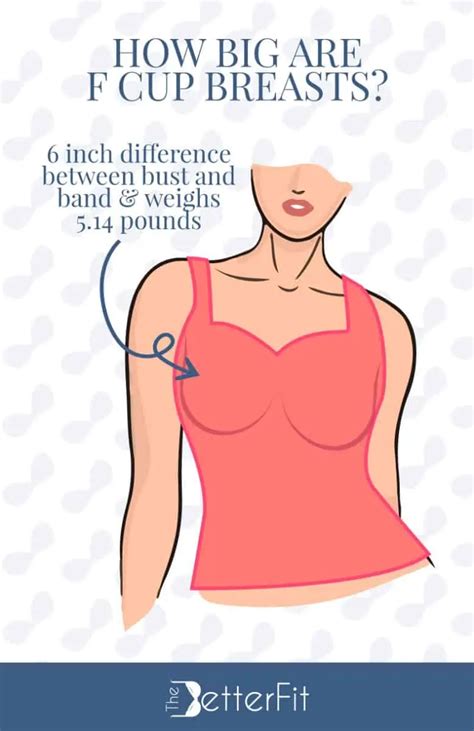 how big are f cups breasts thebetterfit