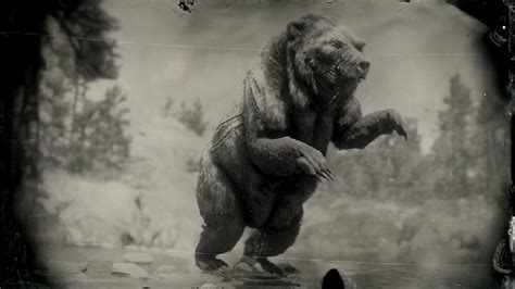 For those busy hunting down legendary animals in red dead redemption 2, here is where to find each of them from the legendary alligator to the it's also worth mentioning that rdr2 features 16 different legendary animals. How to Find All the Legendary Animals in Red Dead ...