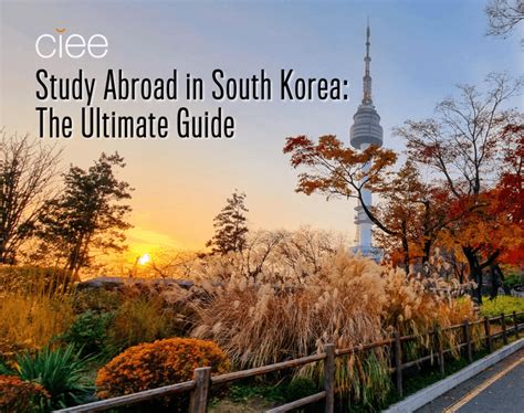 Study Abroad In South Korea The Ultimate Guide Ciee
