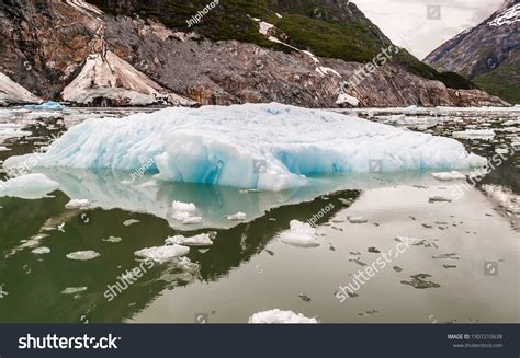 Sculpted Floating Icebergs Tracy Arm Fjord Stock Photo 1907210638