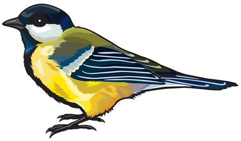 Finch Png Images Transparent Free Download Pngmart