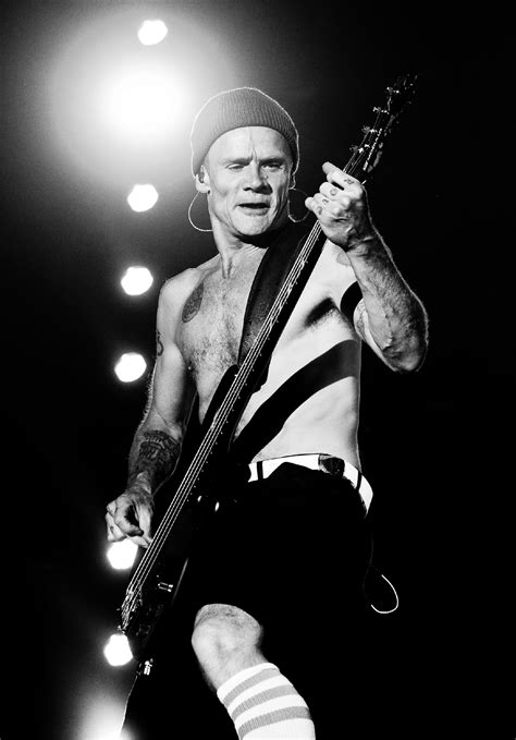 Flea To Chronicle Drugs Rebellion And ‘bohemian Life In New Memoir