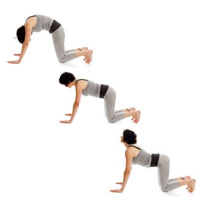 Cat cow stretch, how to do a cat cow pose for energy | yoga. 9 Steps to a Stronger Core - Health.com