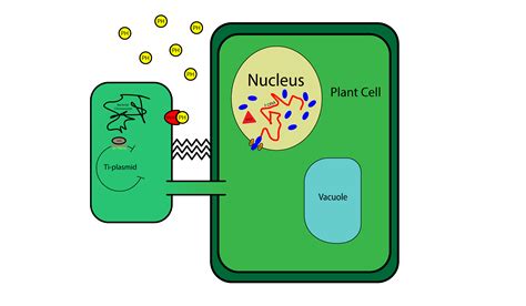 We did not find results for: Team:NRP-UEA-Norwich/Project System - 2014.igem.org