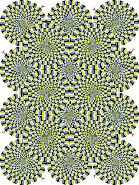 The Neuroscience Of Illusion Scientific American