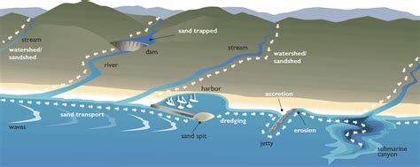 Regional Planning Key For Sediment Management And Coastal Resilience California Sea Grant