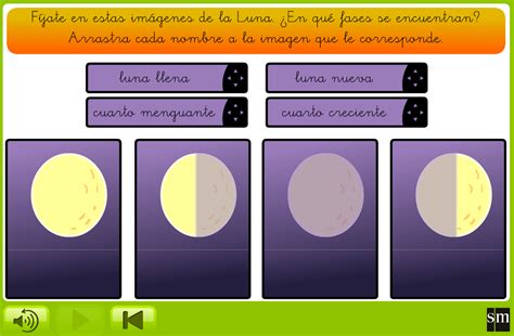 Fases De La Luna Para Niños De Tercero De Primaria Imagui