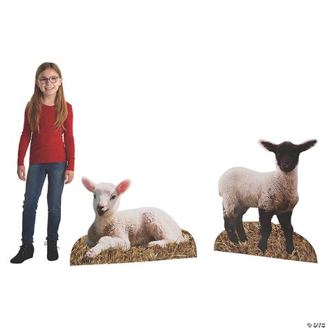 Feste And Besondere Anlässe Haus And Garten Lifesize Cardboard Cutout Sheep