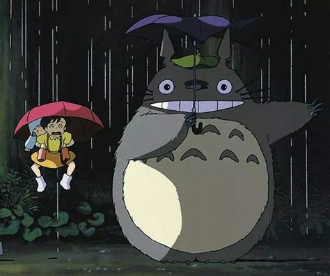 Pin By Dimi Hatzis On Totoro Studio Ghibli Studio Ghibli Art