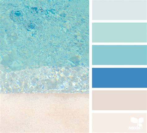 Color Swim Design Seeds Color Palette Design Seeds Seeds Color Palette