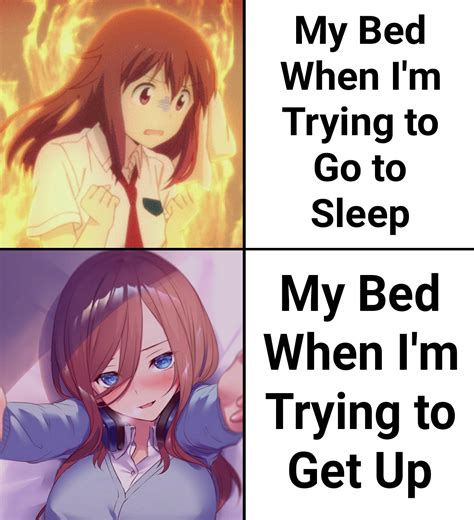 My Bed Is My Waifu Animemes