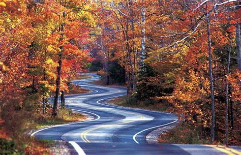 The 13 Best American Road Trips To See Fall Leaves Door County