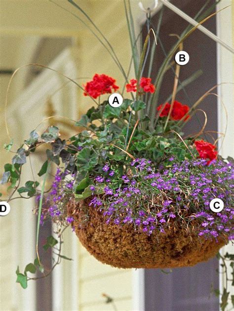 You are asking for trouble. 25 Hanging Baskets You'll Want to Plant Immediately ...