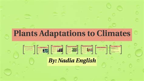 Plants Adaptations To Climates By Nadia English