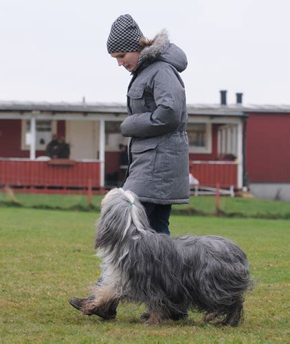 Det är en komplett nyhetstjänst som levererar lokala nyheter, sport samt kultur och nöje från hässleholm, osby, östra göinge, kristianstad och övriga skåne. DSC_0076 | Eslövs BK | Flickr