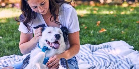 Why Do Some Dogs Like To Cuddle—and Others Dont A Behavior Expert