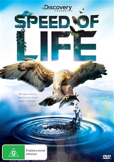 Discovery channel hd смотреть онлайн. Speed Of Life Discovery Channel, DVD | Sanity