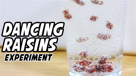 Dancing Raisins Experiment Youtube