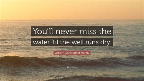 William Christopher Handy Quote Youll Never Miss The Water Til The