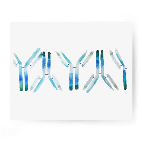 Igg Antibody Antibodies Immunology Science Art Antibody Etsy