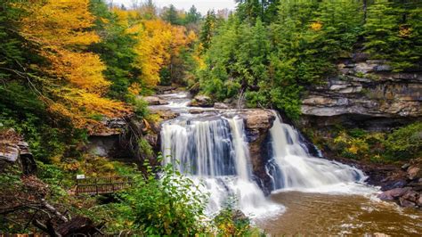 Mountain River Waterfall Autumn Green Pine Forest And