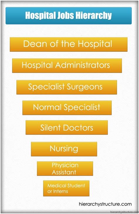 Hospital Jobs Hierarchy Hospital Jobs Hospital Administration Hierarchy