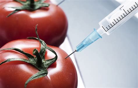 Potential benefits of gm foods. SCIplanet - Shifting Cultivation