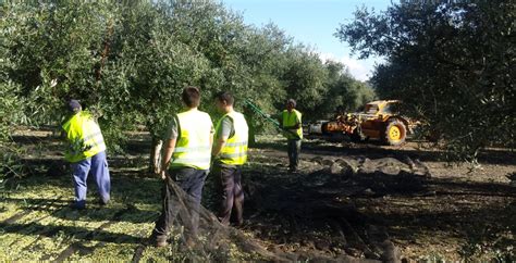 Um Agricultor Financiou Junto A Uma Cooperativa
