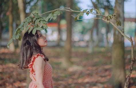 무료 이미지 애정 귀엽다 초상화 아름다운 행복 소녀 나무 자연 우디 식물 아름다움 잎 레이디 삼림지 가을 분기 미소 잔디 인물 사진